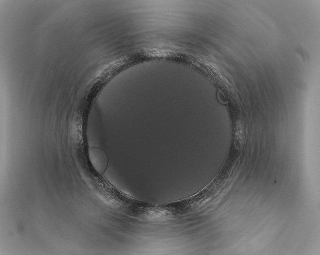 X0000111440547200908031354