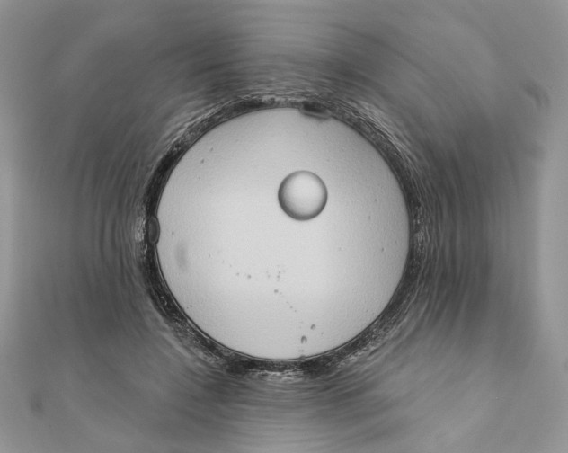 X0000111440548200908031354