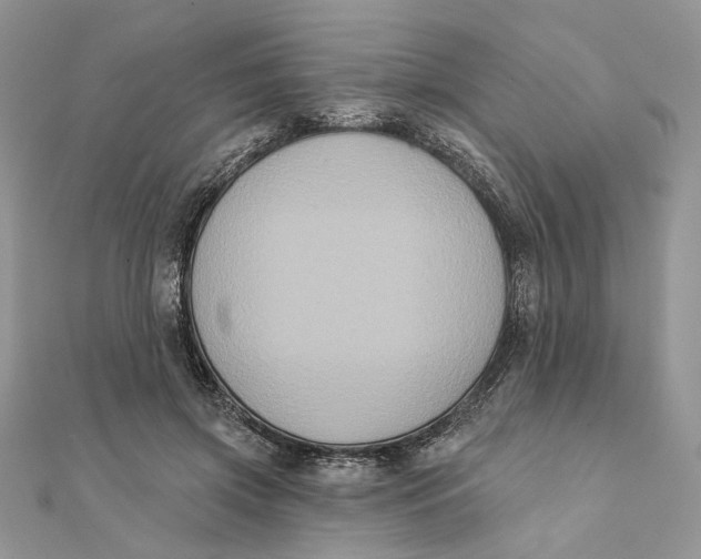 X0000111440549200908031354