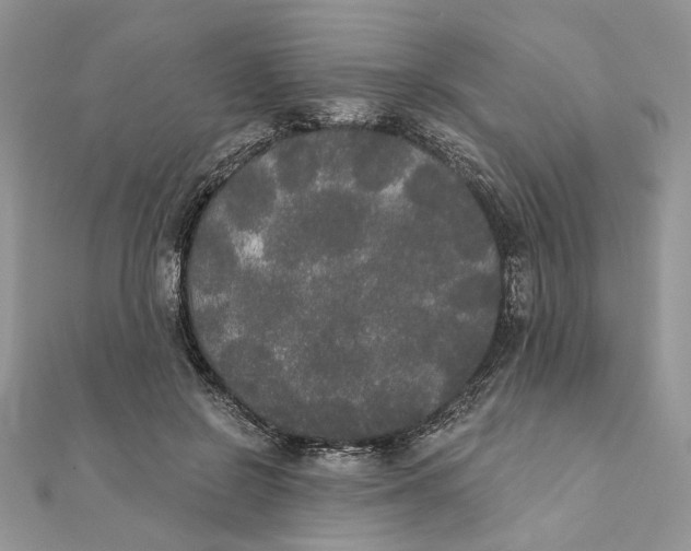 X0000111440550200908031354