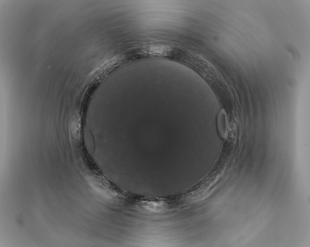 X0000111440552200908031354