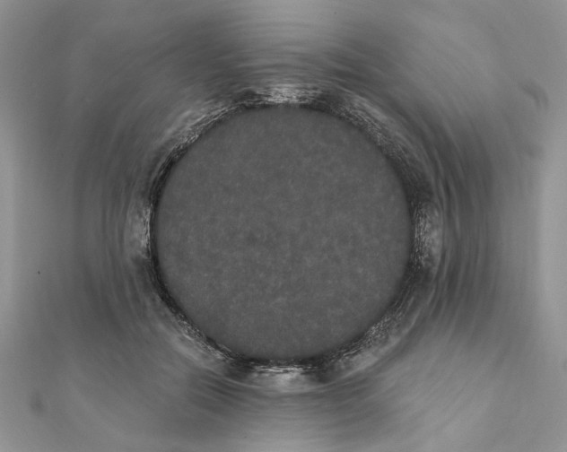 X0000111440554200908031354