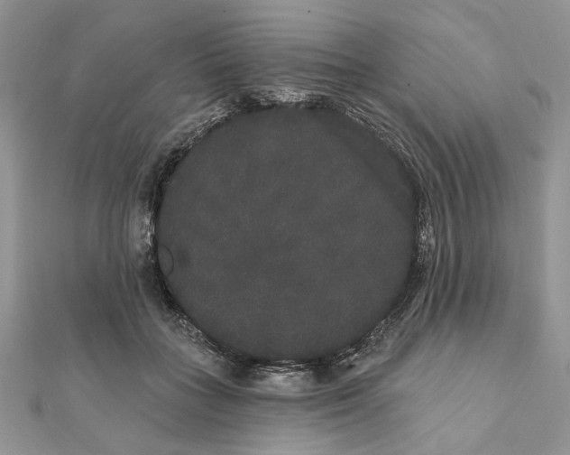 X0000111440555200908031354