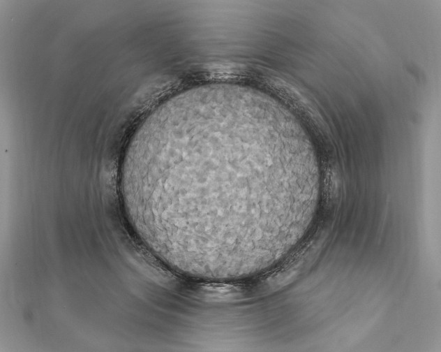 X0000111440557200908031354