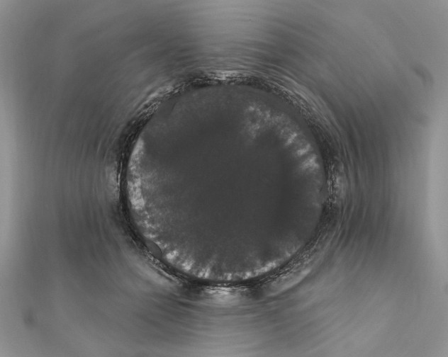 X0000111440558200908031354