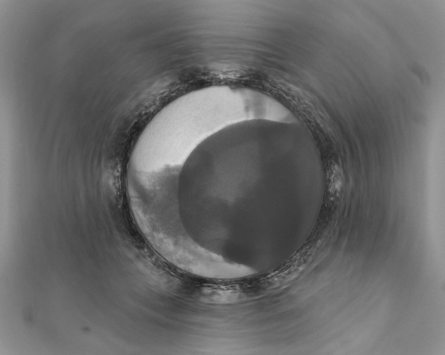 X0000111440559200908031354