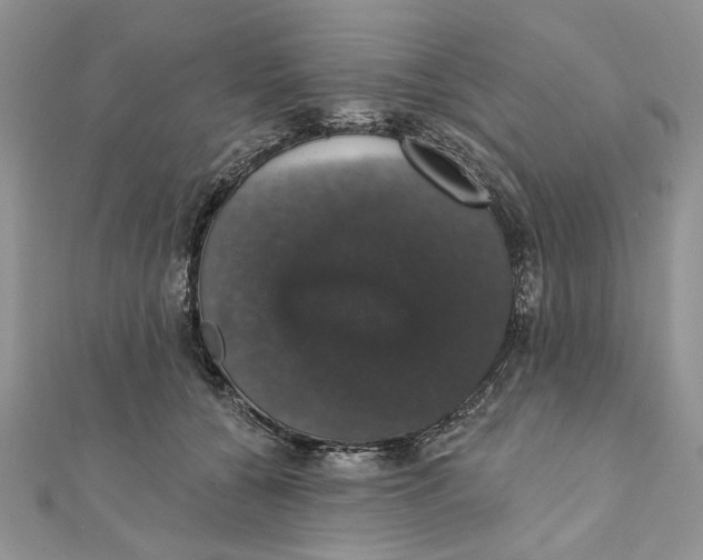 X0000111440560200908031354