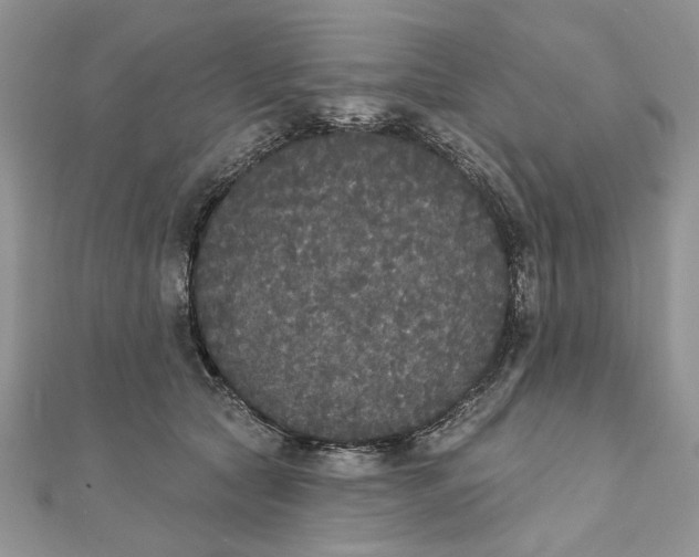 X0000111440561200908031354