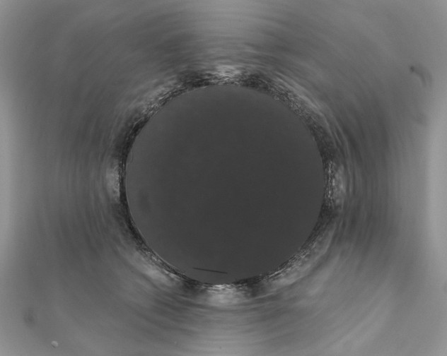 X0000111440562200908031354