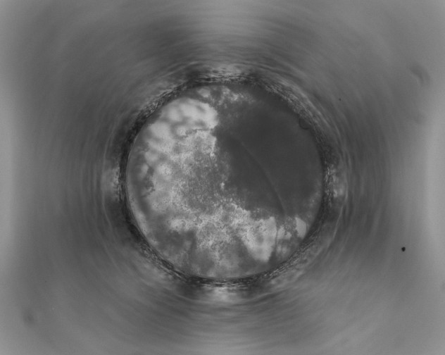 X0000111440564200908031354