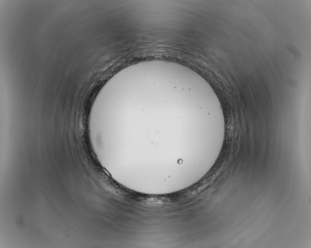 X0000111440566200908031354