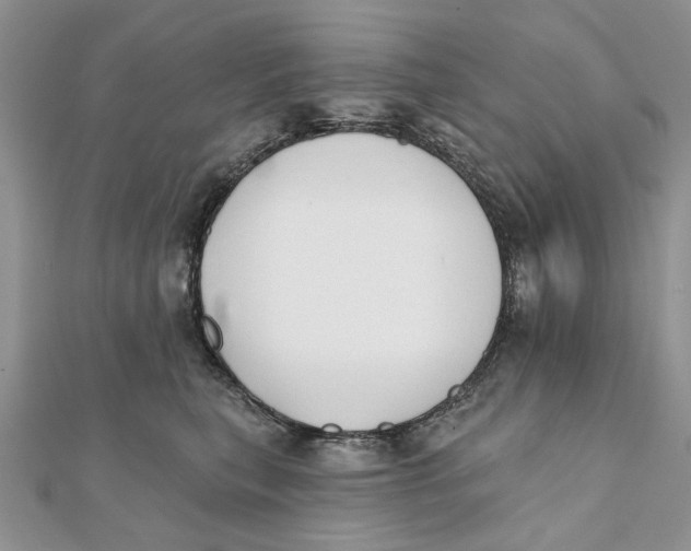 X0000111440567200908031354