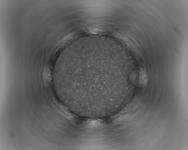 X0000111440569200908031355