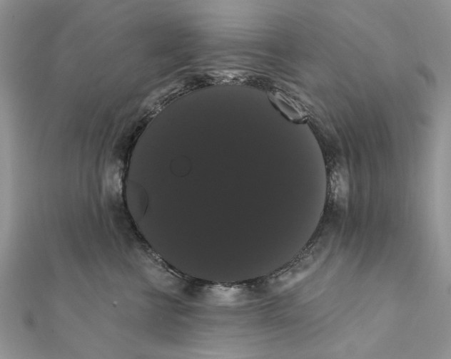 X0000111440570200908031355