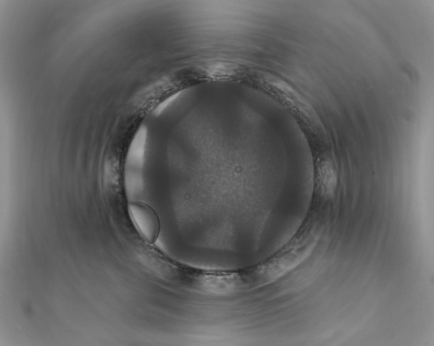 X0000111440571200908031355