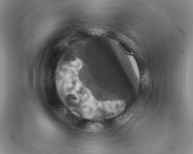 X0000111440572200908031355