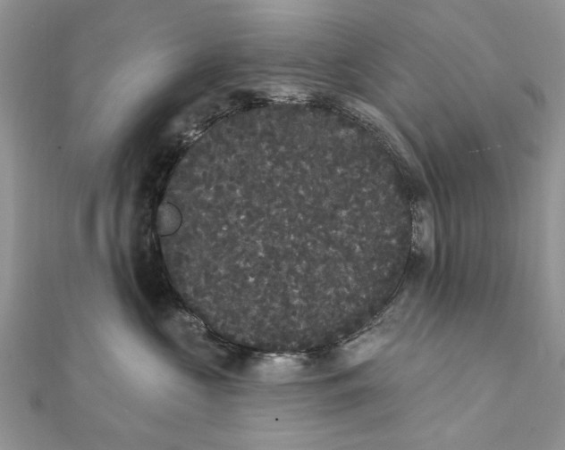 X0000111440573200908031355