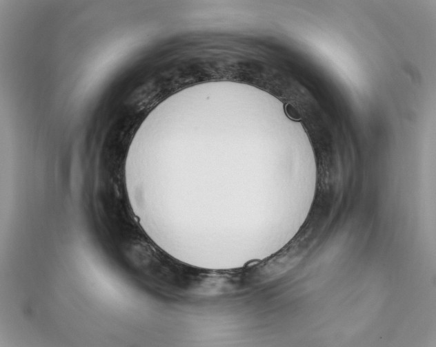 X0000111440574200908031355