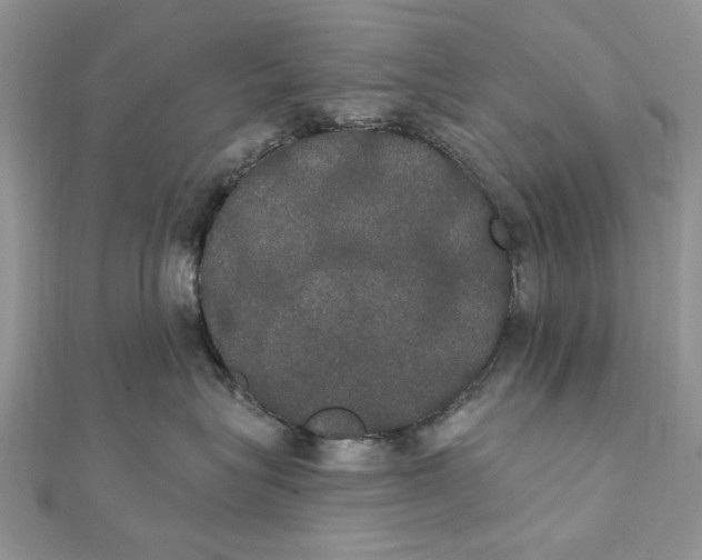 X0000111440575200908031355