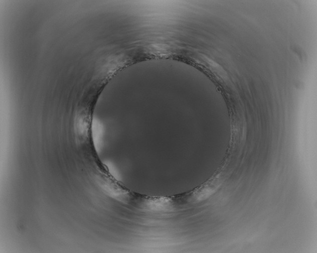 X0000111440576200908031355