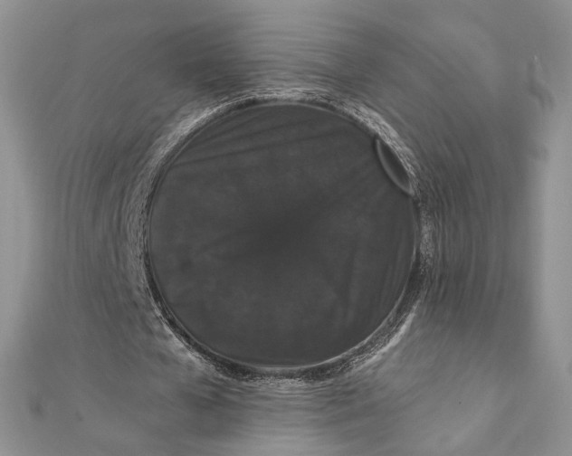 X0000111440577200908031354