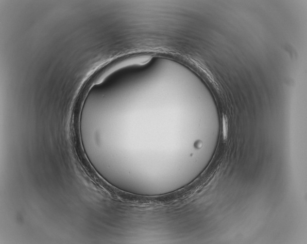 X0000111440579200908031354