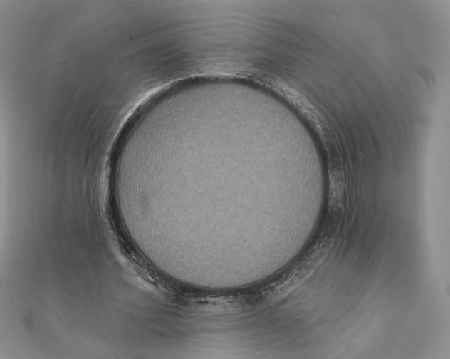 X0000111440580200908031354