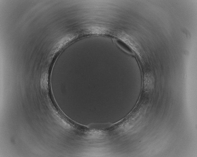 X0000111440581200908031354