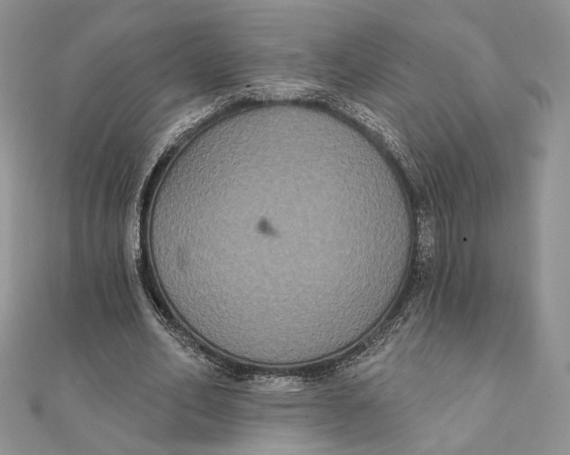 X0000111440582200908031354