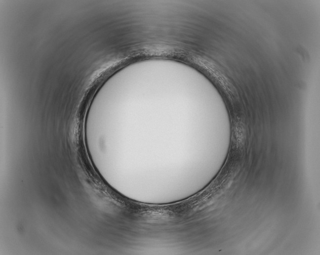 X0000111440583200908031354