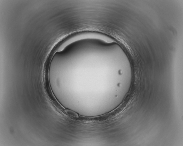 X0000111440584200908031354