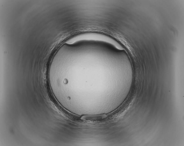 X0000111440585200908031354