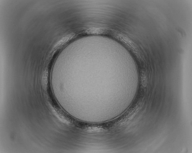 X0000111440586200908031354