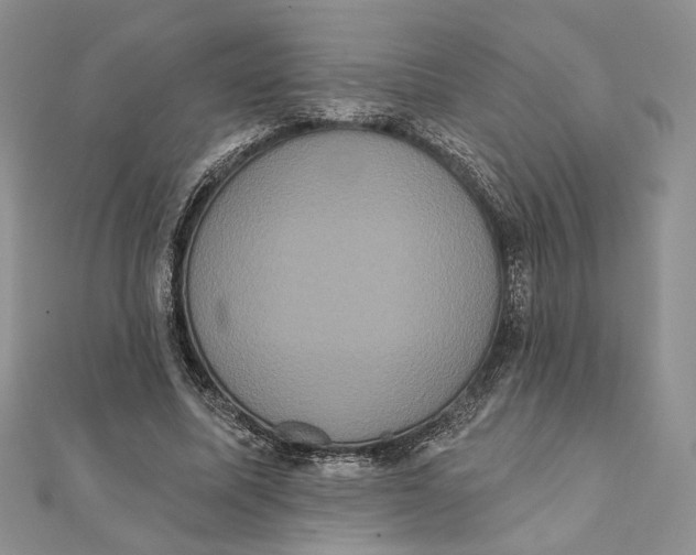 X0000111440587200908031354