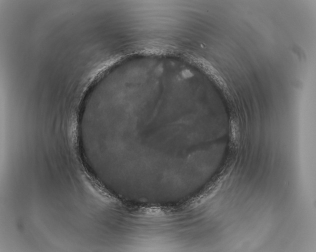 X0000111440588200908031354