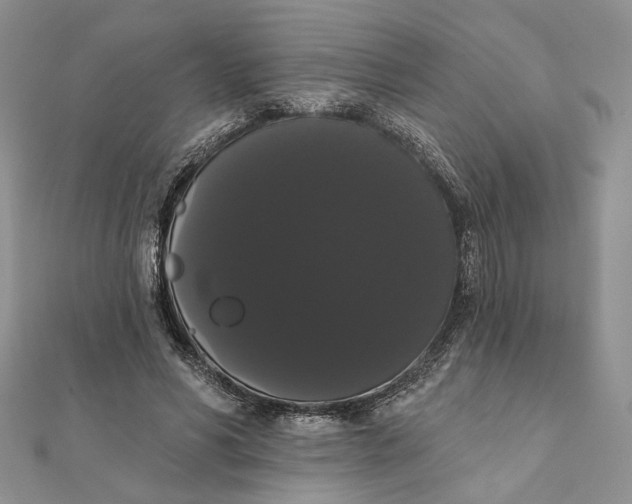 X0000111440590200908031354