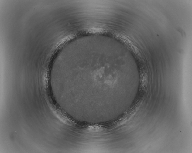 X0000111440591200908031354