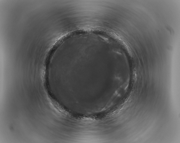 X0000111440592200908031354