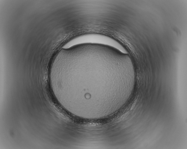 X0000111440593200908031354