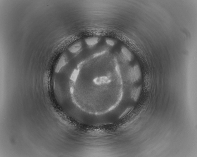 X0000111440594200908031354