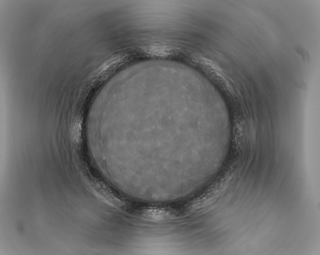 X0000111440596200908031354