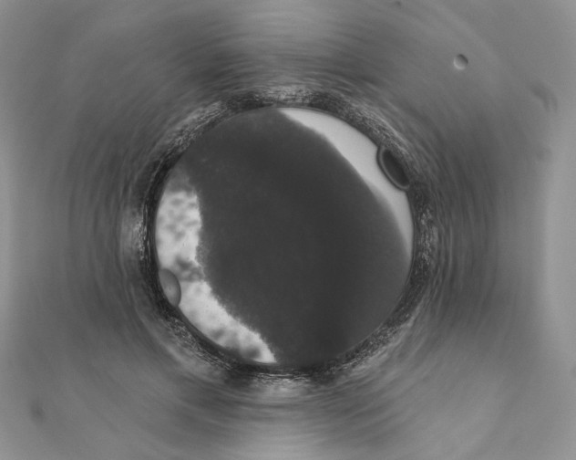 X0000111440597200908031354