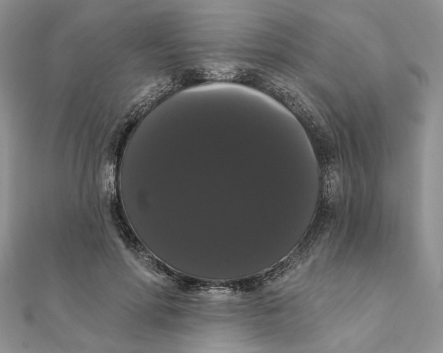 X0000111440598200908031354