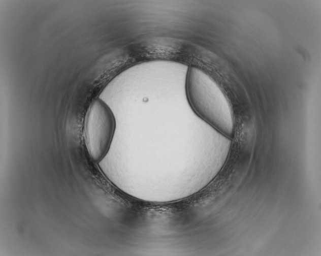 X0000111440599200908031354