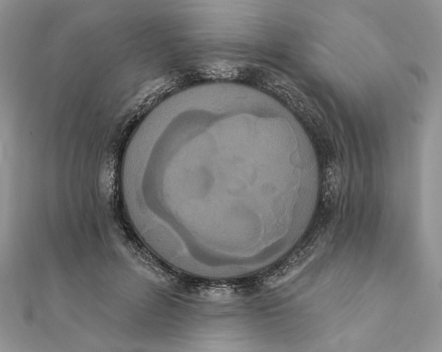 X0000111440600200908031354