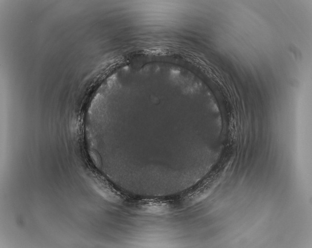 X0000111440601200908031354