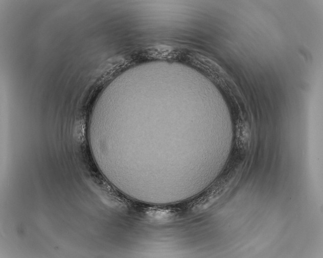 X0000111440602200908031354