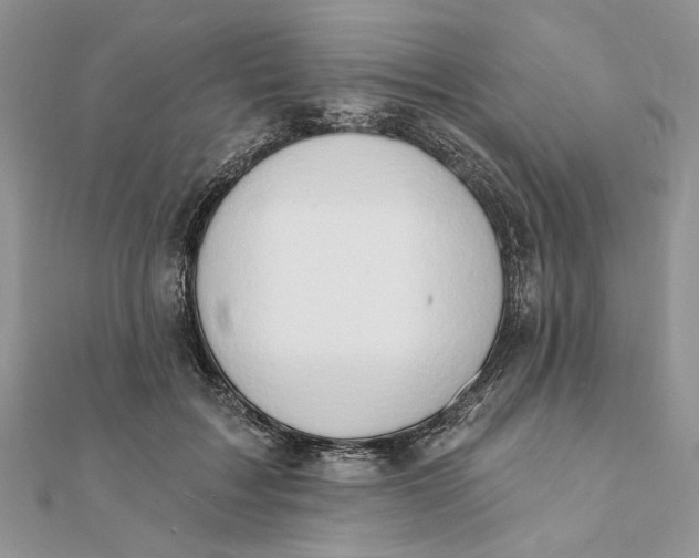 X0000111440603200908031354