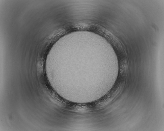 X0000111440604200908031354