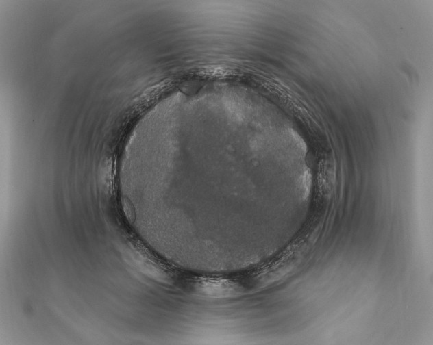 X0000111440605200908031354